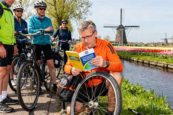 Insubuy business model explanation